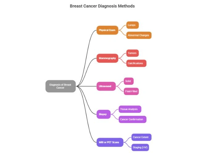 Diagnosis of Breast Cancer